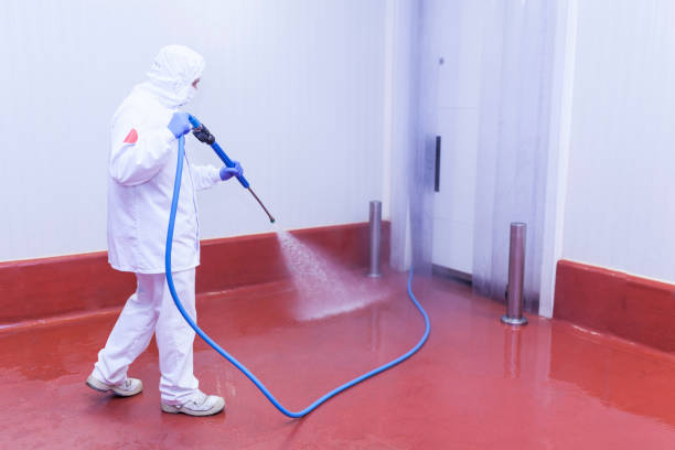 Best Heavy Equipment Washing  in Rutherford, NJ