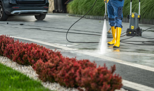 Best Gutter Cleaning  in Rutherford, NJ
